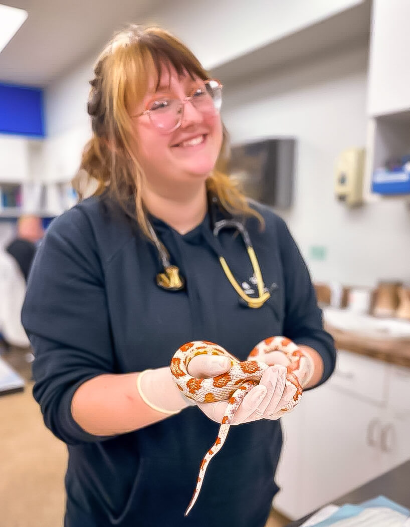 Ball with snake