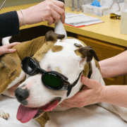 laser therapy